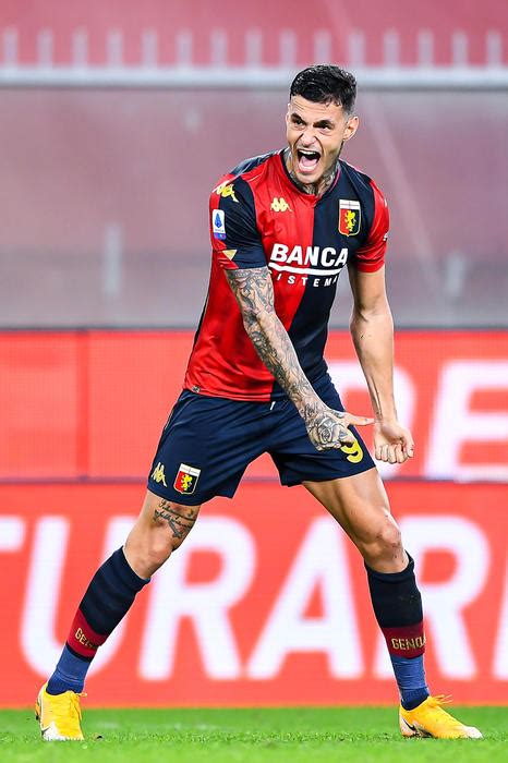 Check all the information and latest news about g. Genoa: Scamacca rimane in rossoblù, 'felicissimo ...