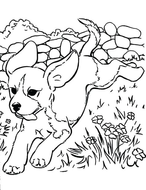 Golden retriever puppy coloring pages. Realistic Puppy Coloring Pages at GetDrawings | Free download