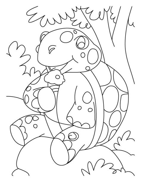 Click the picture below to make it larger, then print out your favorite reptiles coloring page! Tortoise Coloring Page - Coloring Home