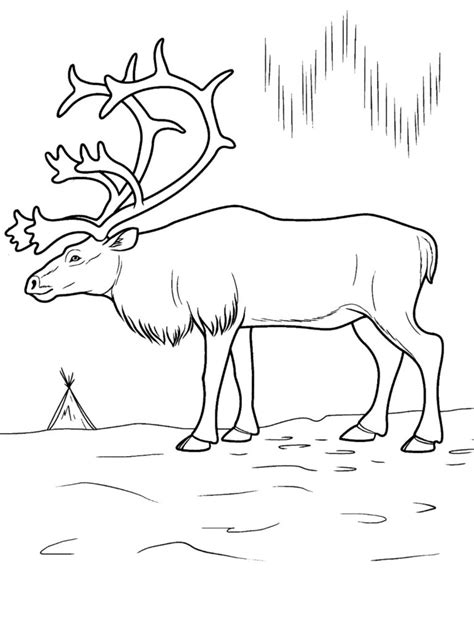 The woolly mammoth (mammuthus primigenius) is a species of mammoth that lived during the pleistocene until its extinction in the holocene epoch. Tundra Animals Drawing at GetDrawings | Free download