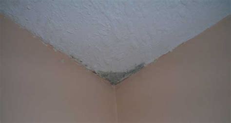 If the mold on your bathroom ceiling covers ten square feet or less, it is considered a small area and you can take care of if your bathroom has a musty smell and little black or white specks dot your ceiling or walls, there's a chance that mold may also be growing behind your ceiling tiles or walls. Ceiling Mold - Roofing - Contractor Talk