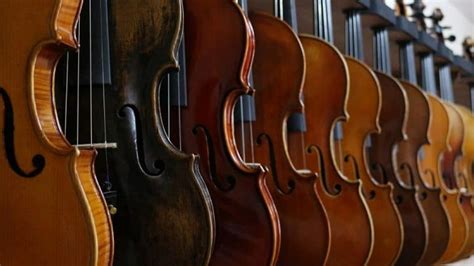 Best violin brands for advanced. Best Violin Brands (Which Manufacturers Do Violinists ...