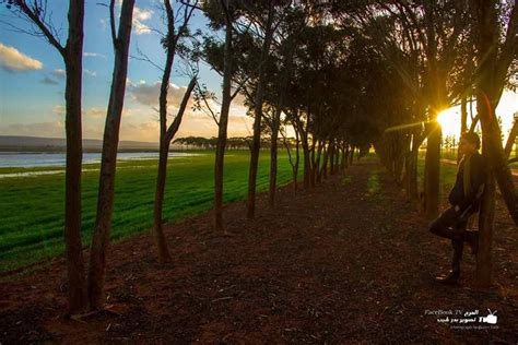 'the meadows'), also spelt el merj, generally believed to be on the site of the ancient city of barca or barce, is a city in northeastern libya and the administrative seat of the marj district. المرج - ليبيا (With images)