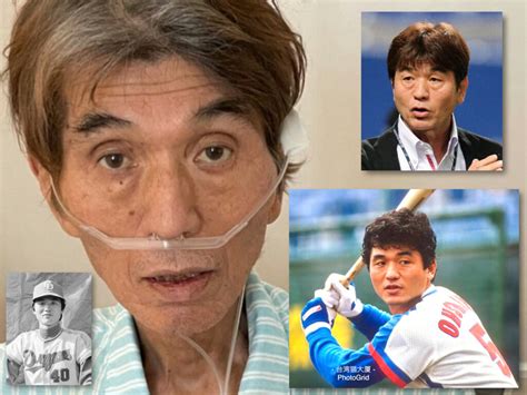 名站推薦 tips：2021年6月24日 已更新失效連結 total 13 ». 大島康徳、現在の様子 | 台湾猫大厦