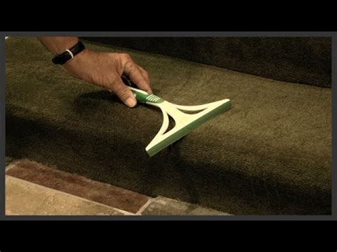 Simply sprinkle a light layer of baking soda onto the carpet and let it sit for a few minutes. How to remove dog hair from carpet - YouTube
