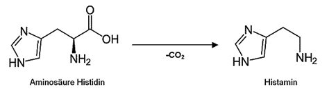 Biogene amine sind primäre amine, die im stoffwechsel (von mikroorganismen, pflanzen, tieren und menschen) durch enzymatische decarboxylierung von aminosäuren entstehen. CVUA Stuttgart | Thunfisch in der Gastrono...