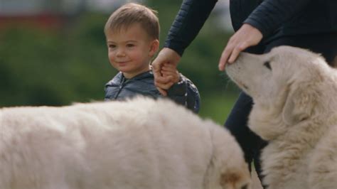 The successes and failures of a couple determined to live in harmony with nature on a farm outside of los angeles are lovingly chronicled by filmmaking farmer john chester, in this inspiring documentary. THE BIGGEST LITTLE FARM / Trailer deutsch (HD) - YouTube