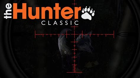 Tree's foliages look awfully pixeliated when you zoom in to them. The Hunter Classic #12 -Ein Wolf -The Hunter - YouTube