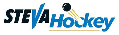 Do you want to become a sports agent, a public relations liaison, a sports statistical analyst, or a sports facilities manager? Learn To Scout Hockey and Run a Hockey Team