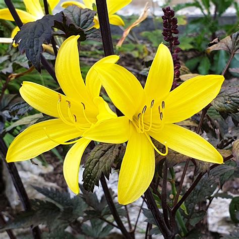 In puncto komfort unter anderem preisleistung kann dem world wide web wohl kaum jemand den rang abschlagen. Botanischer Garten Halle Schön Botanischer Garten Jena ...