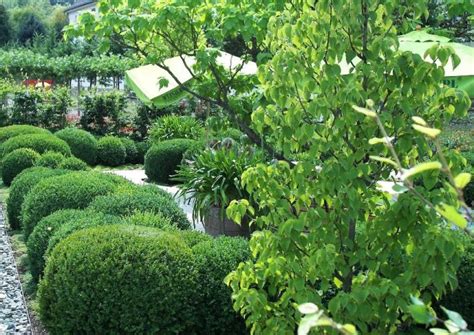 Gartenbahn baumgarten schatten spendende bäume brücke zeichnen fluss bilder. Grünes Wohnzimmer im Garten gestalten :-) Idee für den ...