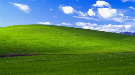 We did not find results for: Windows XP wallpaper ·① Download free amazing backgrounds ...