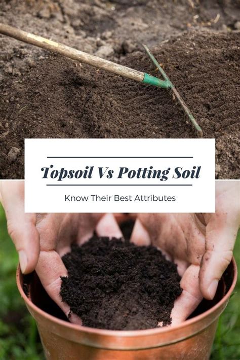 Trusted voices, nebraska's living soil. Topsoil Versus Potting Soil? Know Their Best Attributes ...