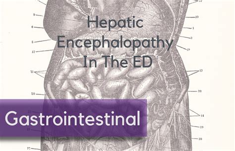 Diagnosis of hepatic encephalopathy in cats. Hepatic Encephalopathy In The ED — NUEM Blog