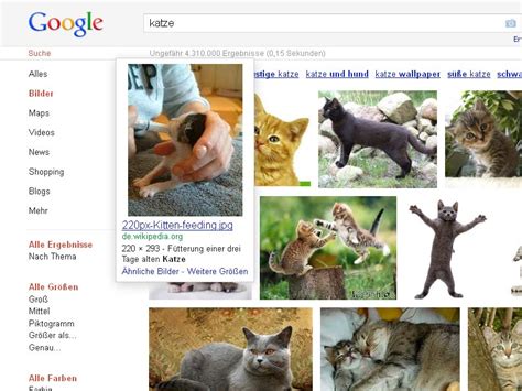 Sehr viel traffic findet über die google bildersuche sein ziel im internet. Google Bildersuche Update - Wikipedia legt erneut zu ...