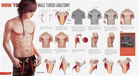 Learn manga male anatomy v1 by naschi on. levelup | Avi Chetri Concept Art