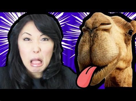 Because annoying your pet is the this organ looks like large, pink tongue that hangs off the side of their mouth. CAMEL TONGUE IN YO MOUTH! - YouTube