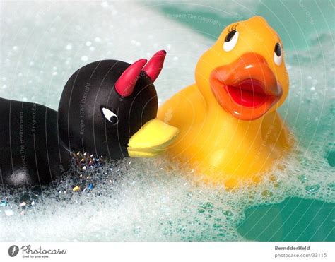 In ihnen haben die babys genug platz und die eltern können die temperatur gut regulieren. Enten Wasser Spielen Bad Ein Lizenzfreies Stock Foto Von ...