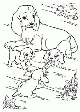 As you know these pages are different for different age children. Mother Dog and Puppies coloring page for kids, animal ...