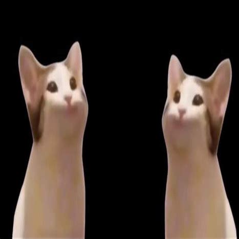 Nov 04, 2020 · pop cat, refers to a series of videos in which use two images of a cat named oatmeal, one with its mouth closed, and the other photoshopped as if the cat is holding it wide open in the shape of an o. popcat啵嘴猫表情包动图下载-popcat啵嘴猫表情包下载高清版 - 偶要下载手机频道