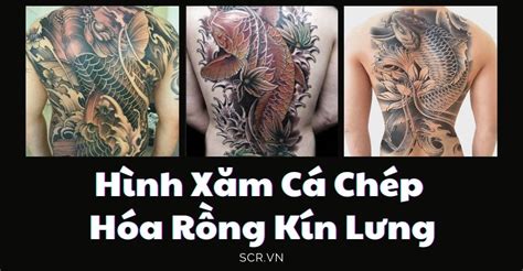 Tổng hợp 40 mẫu hình xăm cá chép kín lưng đẹp nhất hiện nay. Hình Xăm Cá Chép Hóa Rồng Kín Lưng ️ Tattoo Full Lưng