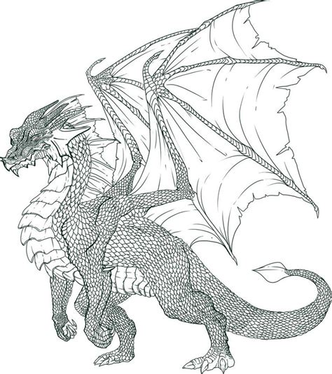 We believe that a magical creature like a dragon doesn't just excited kids. 13 Coloriage dragon en Ligne Gratuit à imprimer - Livre ...