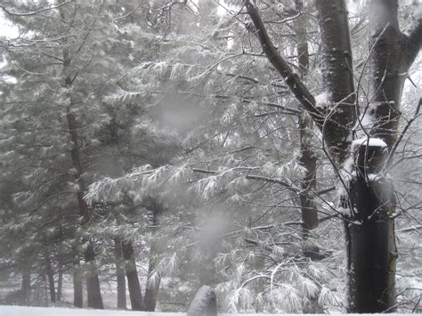 Maybe you would like to learn more about one of these? May 2012 snowfall Running Springs Ca | Cabins in the woods ...