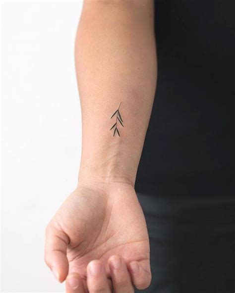 The olive branch also possesses a metaphorical definition of peace, so it makes absolute sense to place a dove and an olive branch collectively in a tattoo design. 49+ Beautiful Olive Branch Tattoo Designs and Meaning For ...