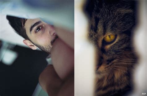 A nap legjobb képei: pasik és macskák, akik hasonlítanak egymásra | nlc
