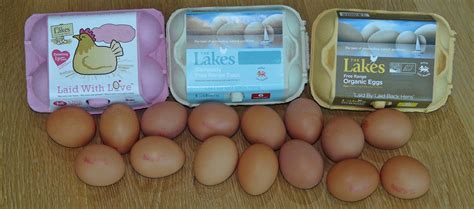 Check out our soy free eggs selection for the very best in unique or custom, handmade pieces from our food & drink shops. The Lakes Free Range Egg Company three-egg-brands - The ...