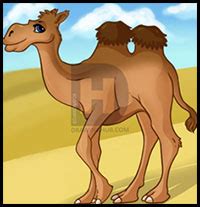 It helped the desert animal go without any food. How to Draw Camels : Drawing Tutorials & Drawing & How to ...