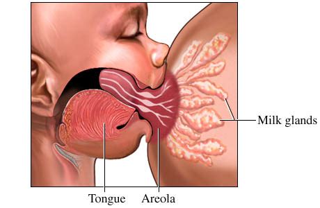 Dengan mengikuti tips yang dikongsikan oleh dr. Cara Paling Berkesan Untuk Hilangkan Bengkak Susu - ERATUKU