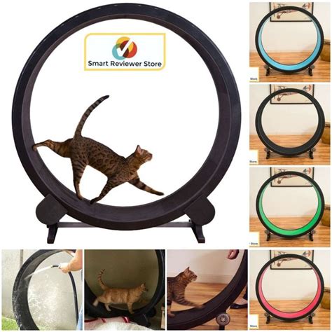 Exercise wheels for cats is a particularly new concept. Details about Cat Exercise Wheel Indoor Kitty Running ...