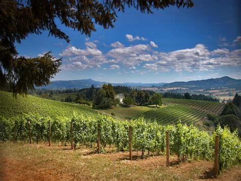 We did not find results for: Oregon's Wine Country | Best places to travel, Places to ...