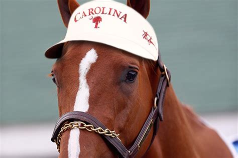 It also affects the people who plan to attend the event, as they may get soaking wet, or have warm temperatures to endure. 2014 Kentucky Derby preview: Start time, betting, TV ...