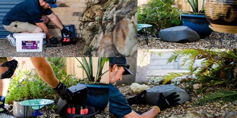 Termites and pests are really dangerous at times and that may damage to the buildings or the furniture present within the premises as well as spreads diseases. Rodent Control Gold Coast & Casuarina | Rat & Mice Pest ...