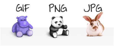 Download your png image in seconds. Difference Between PNG, JPEG, GIF Image Format - Phones ...