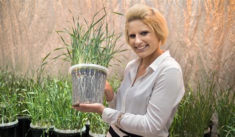 Growing a cactus from seed can be a long process. Digging deep to drought-proof Australian barley - UQ News ...
