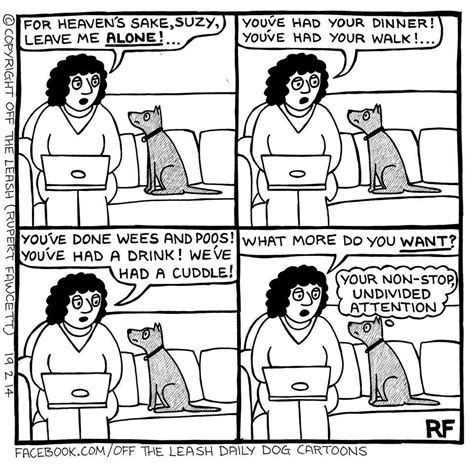 Are you an attention seeker? The attention seeker | Cartoon dog, Dog comics, Funny dogs
