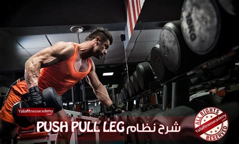 This page is about the various possible meanings of the acronym, abbreviation, shorthand or slang term: شرح نظام Push Pull Leg