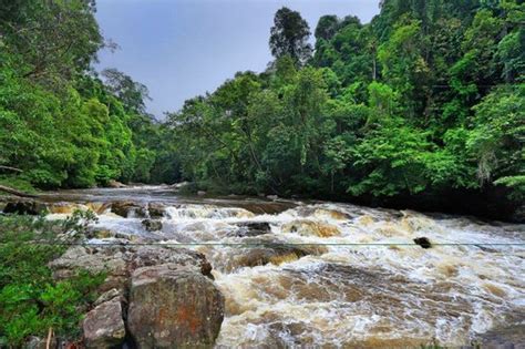 We did not find results for: cascades at Lata Berkoh - Picture of Mutiara Taman Negara ...