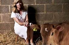 kate garraway cow breastfeeding milking stool guardian breastfeeds calves