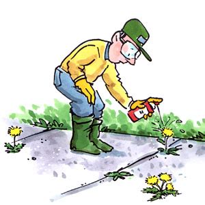 Redd pest control is monroe and ruston's pest control expert. Weed control clipart 20 free Cliparts | Download images on ...