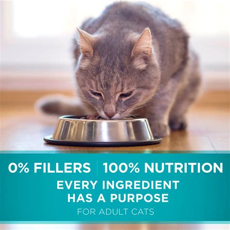 Ask your vet if a prescription diet cat food might be right for your cat. Purina ONE Urinary Tract Health Formula Adult Dry Cat Food ...