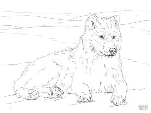New coloring pages wolves pictures wolf printable. 20+ Free Printable Wolf Coloring Pages for Adults ...