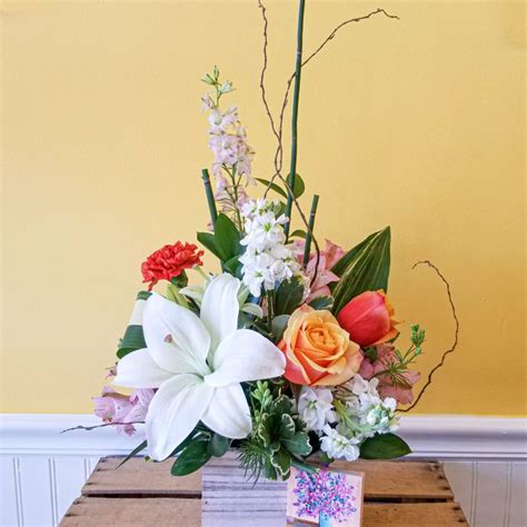 We did not find results for: Cherry Hill Florist | Flower Delivery by Jacqueline's ...