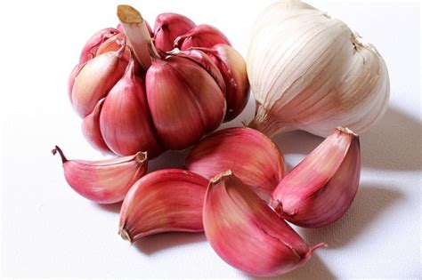 Garlic and onion are toxic to cats but usually the dose that they can get from eating small amount of powder or seasoning is not toxic. Can Cats Eat Garlic?