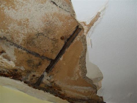 This plaster repair consists of two coats: Repairing Plaster Ceiling 3'x5' Hole - Drywall & Plaster ...