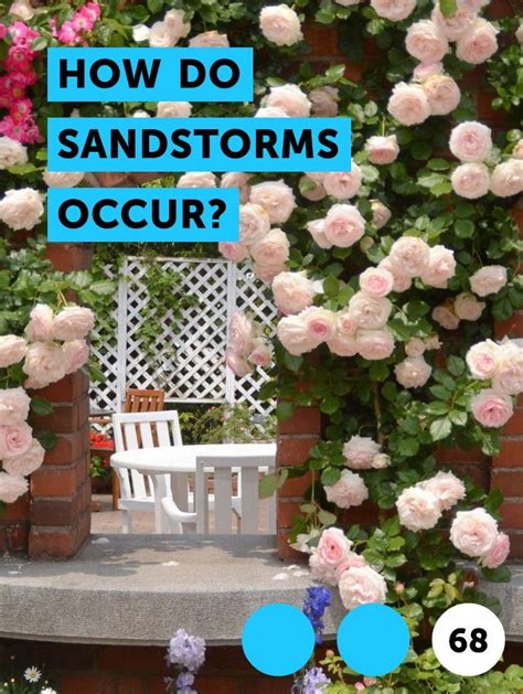 Take care of a flowering cactus the way you took care of it before it began to bloom. How Do Sandstorms Occur? | Plants, Pineapple planting ...