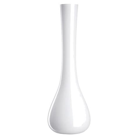 Bodenvase coleen hochglanz silber h 100 cm 259,90 € in den warenkorb. LEONARDO Bodenvase »Leonardo Sacchetta Vase, Deko ...